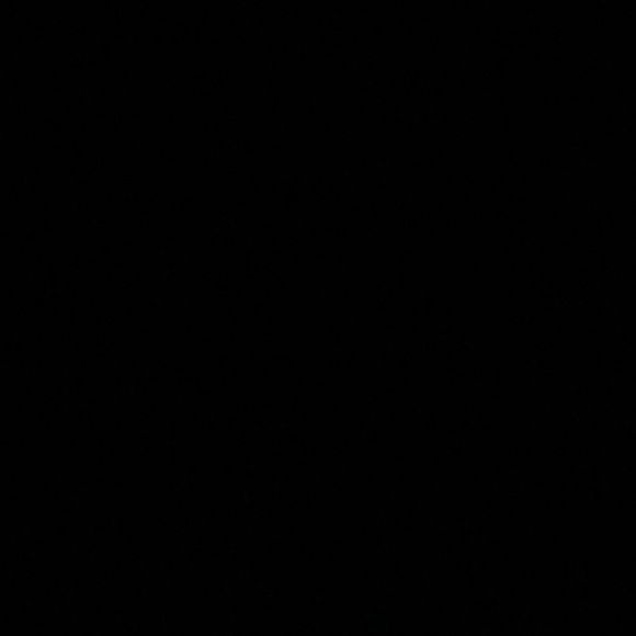 Meet your Posher, Paige - Picture 1 of 1